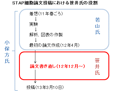 STAP細胞論文における笹井氏の役割.gif